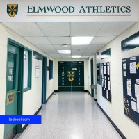 Elmwood High school Picture in Lechool